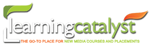 Learning Catalyst is a reputed digital marketing institute in Mumbai