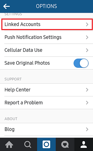Instagram Linked Accounts in Options Page
