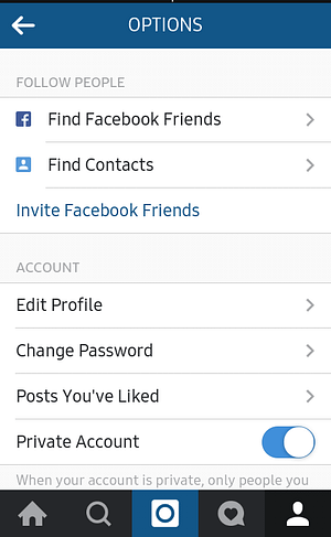 Instragram Options Page