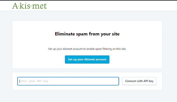 Akismet Enter API key